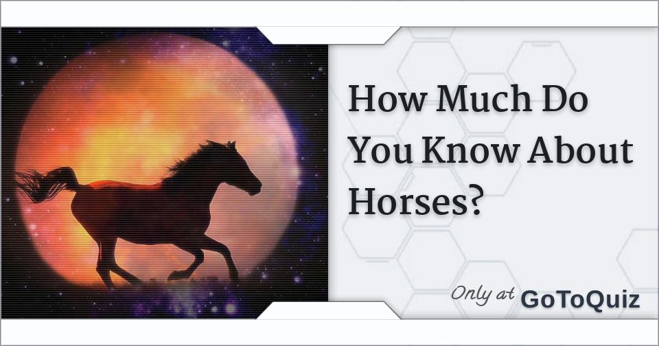 How Much Do You Know About Horses? [Quiz]