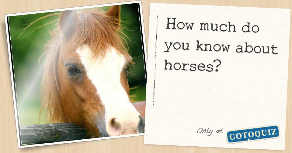 How much do you know about horses?
