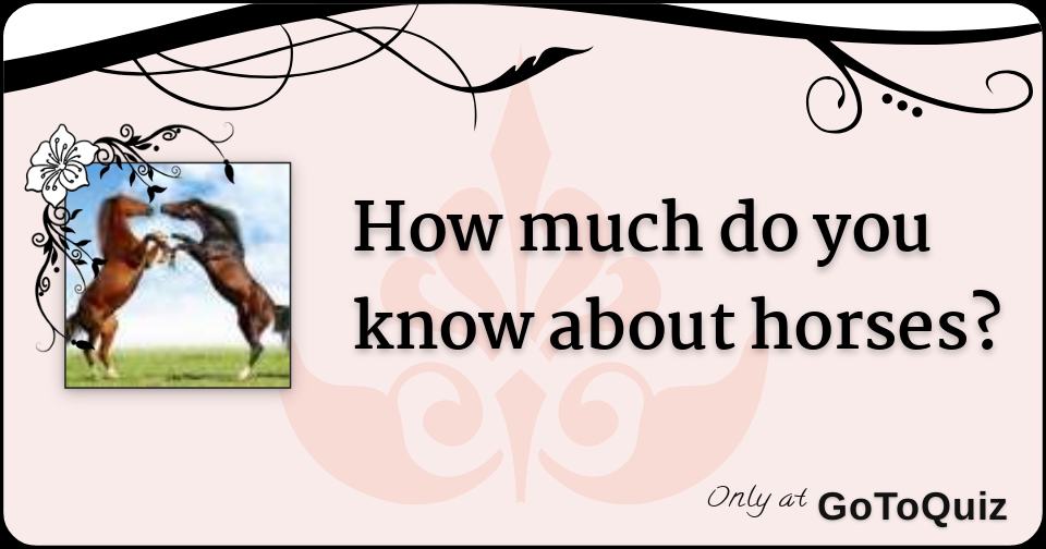 How much do you know about horses?