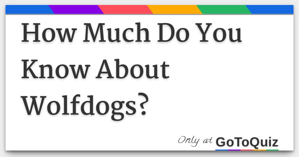 How Much Do You Know About Wolfdogs?