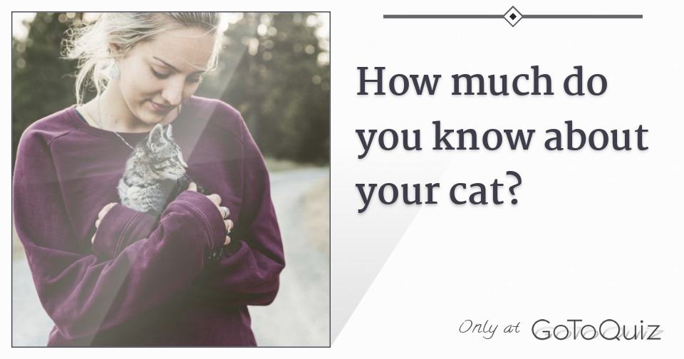 How much do you know about your cat?