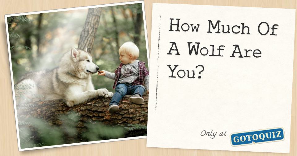 How Much Of A Wolf Are You?