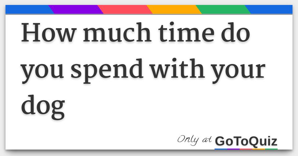 Results: how much time do you spend with your dog