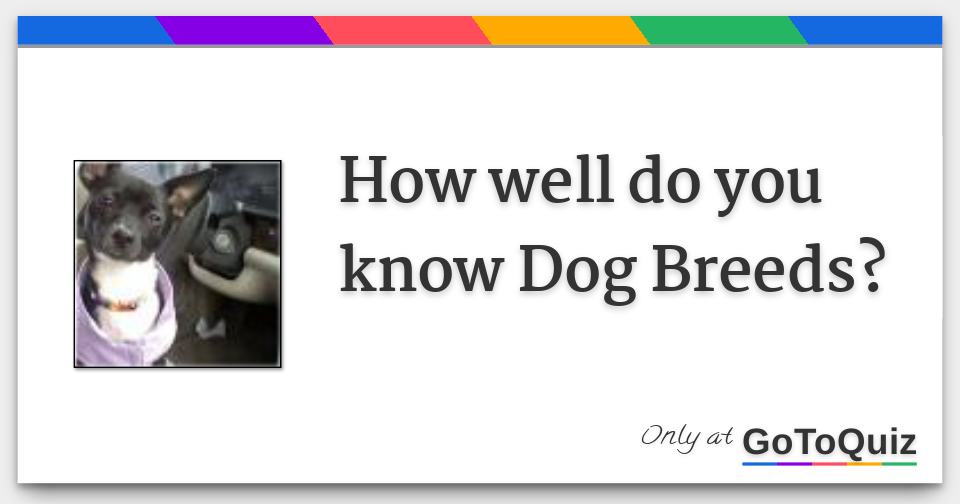 How well do you know Dog Breeds?