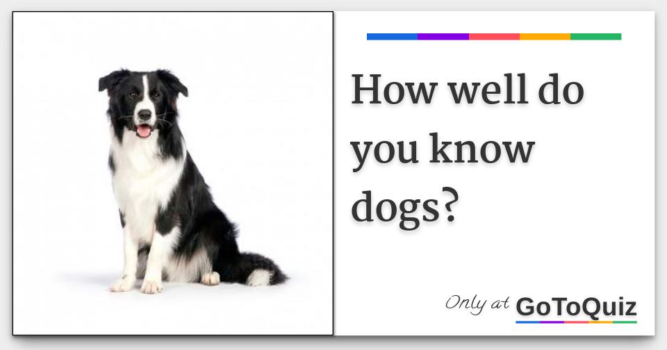 How well do you know dogs?