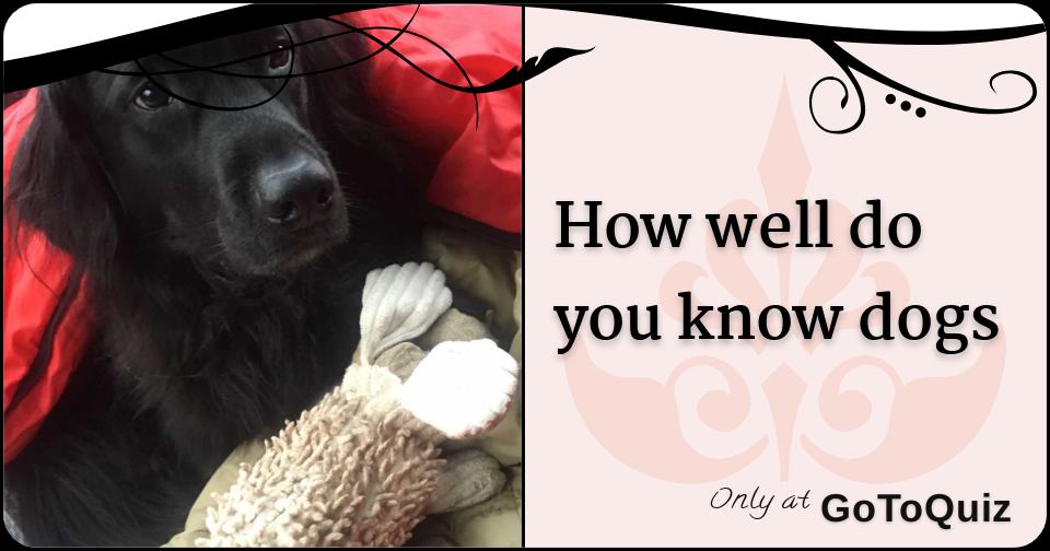 How well do you know dogs