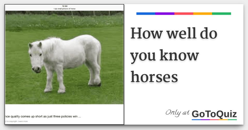 How well do you know horses