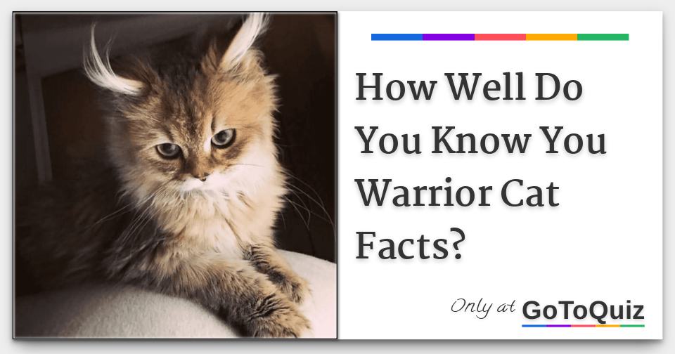 Warrior Cats Facts! 