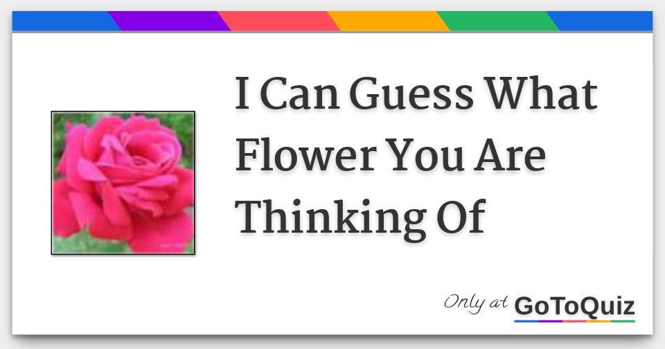 I Can Guess What Flower You Are Thinking Of