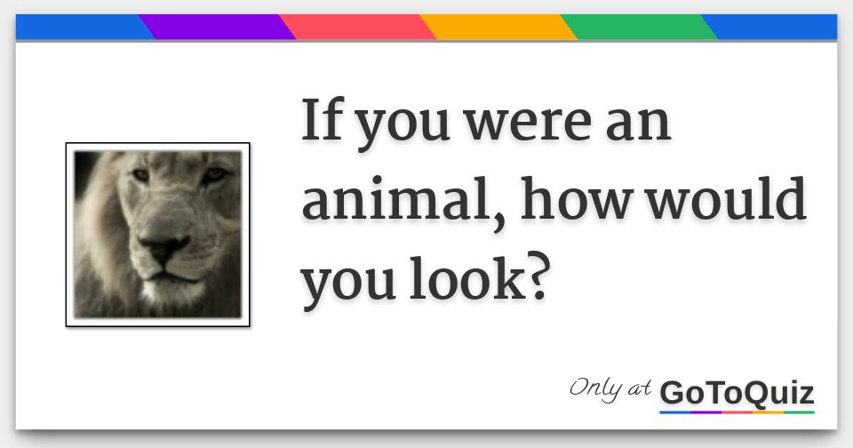 If you were an animal, how would you look?