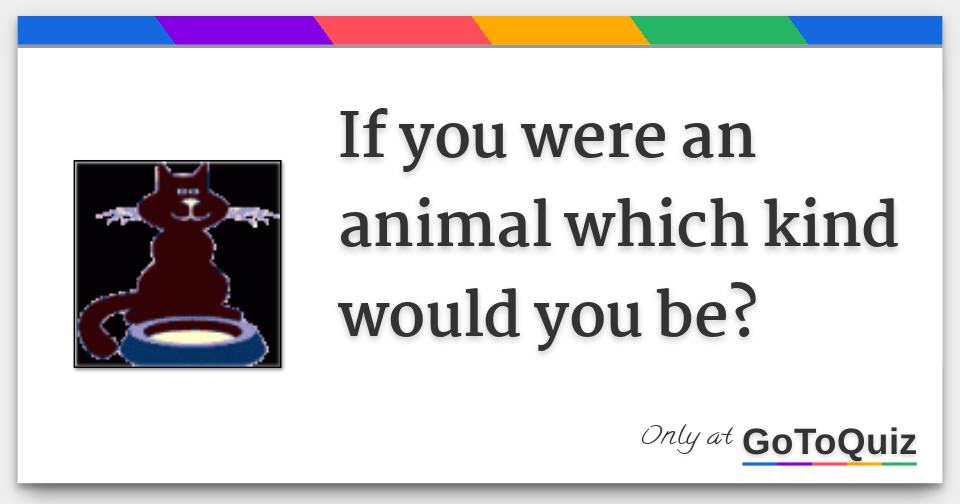 If you were an animal which kind would you be?