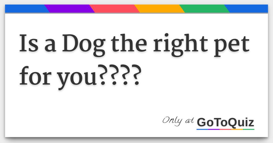 Is a Dog the right pet for you????
