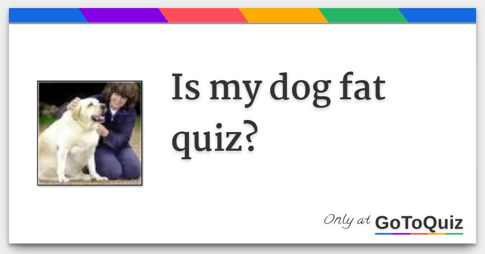 Is my dog fat quiz?