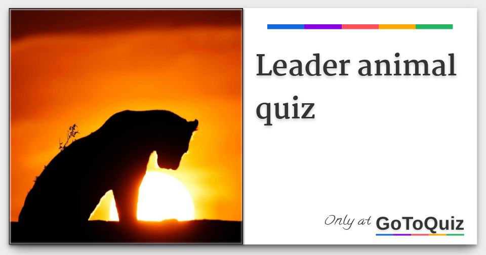 Leader animal quiz Comments, Page 1