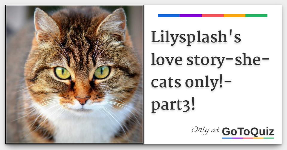 Lilysplash S Love Story She Cats Only Part3 Lilysplash S Love Story She Cats Only Part3