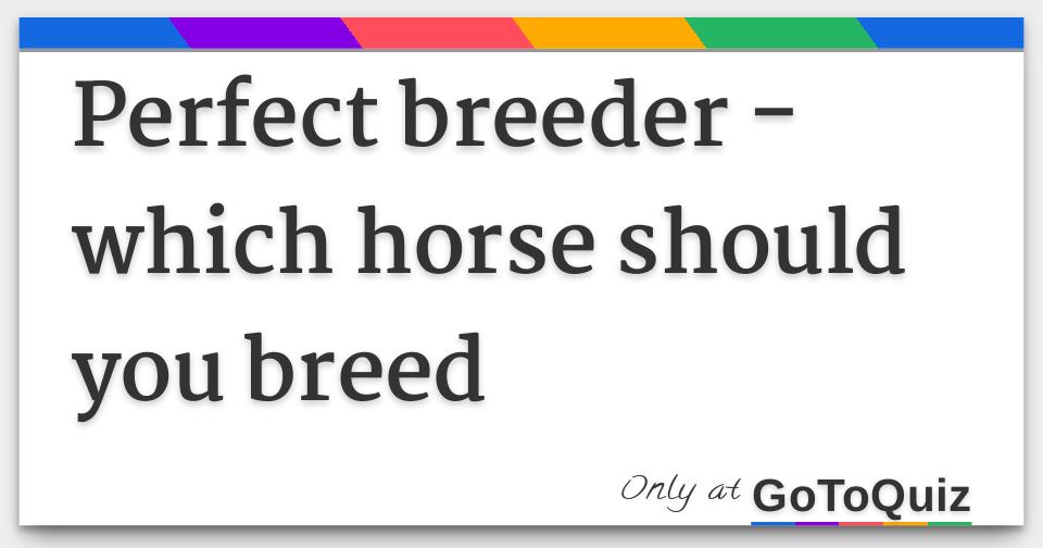 Perfect breeder which horse should you breed