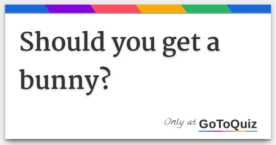 Should you get a bunny?
