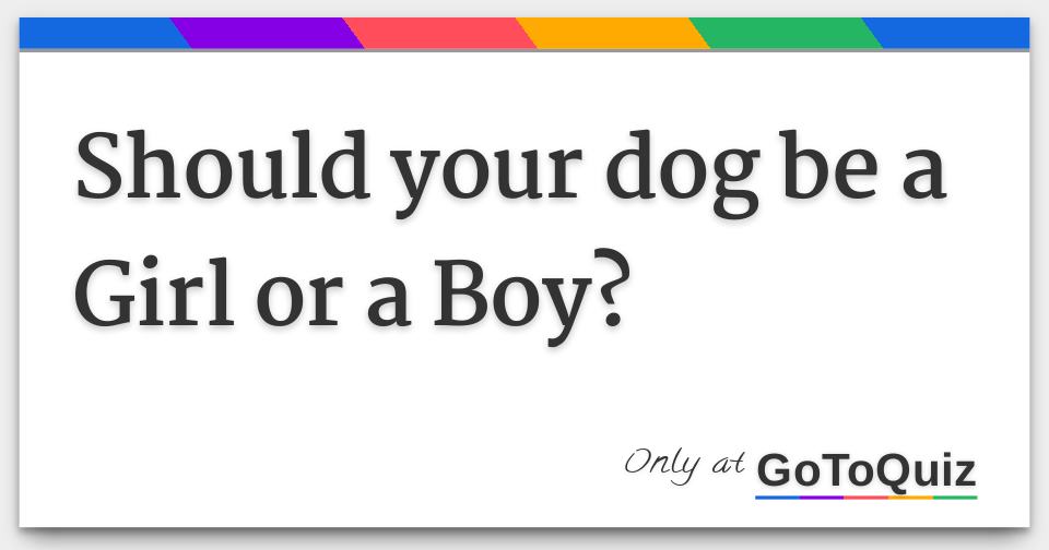 Should your dog be a Girl or a Boy?