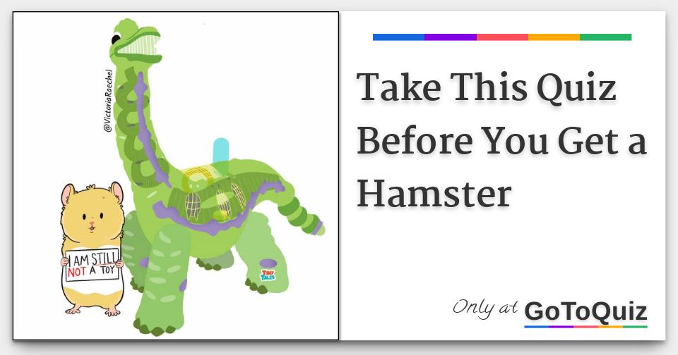 Take This Quiz Before You Get a Hamster