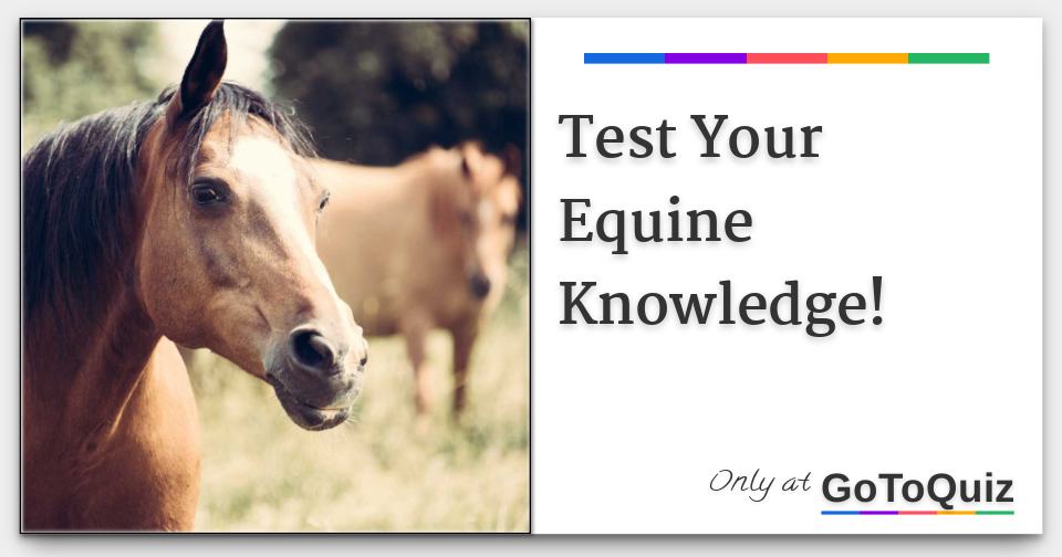 Test Your Equine Knowledge!