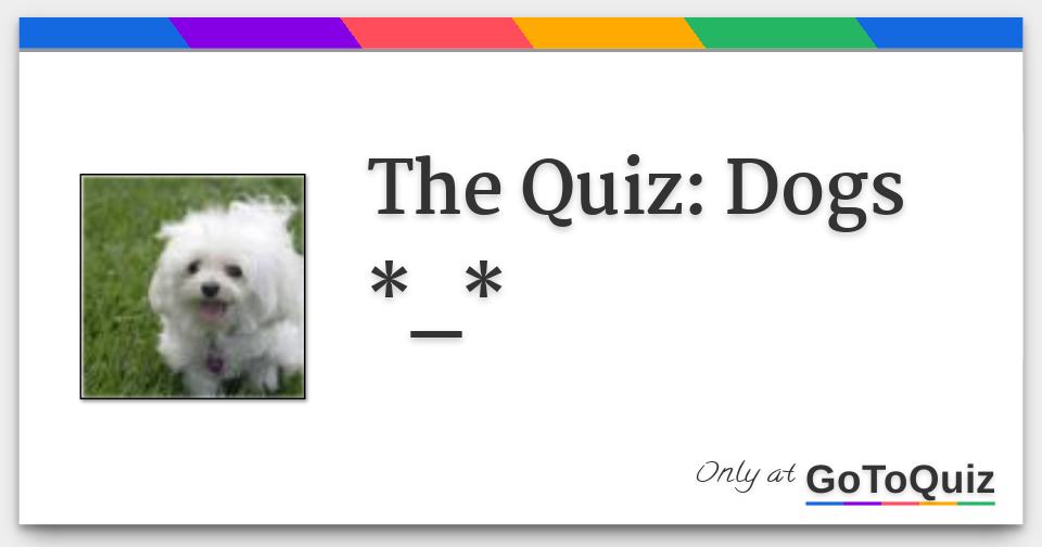 The Quiz: Dogs