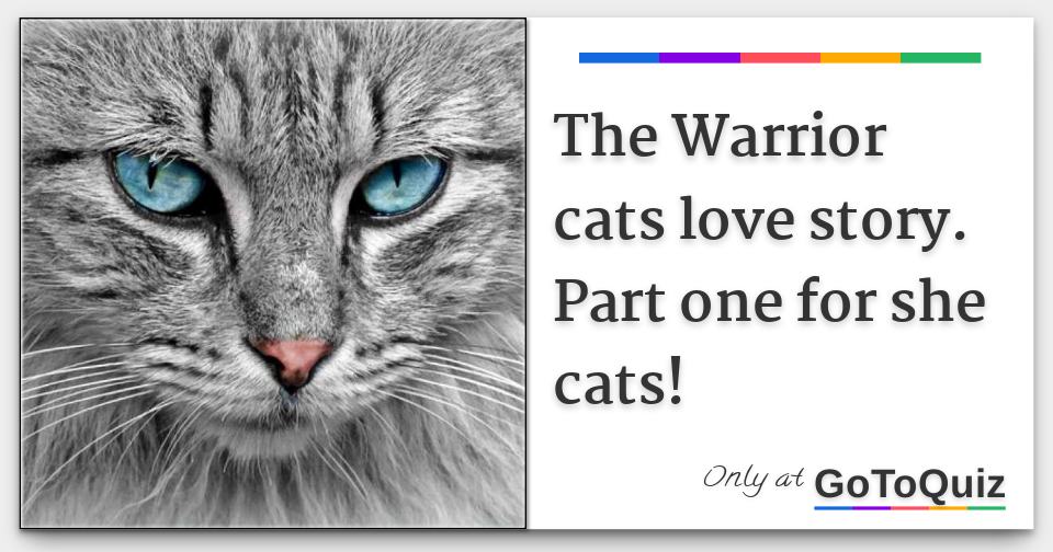 The Warrior Cats Love Story Part One For She Cats The Warrior Cats Love Story Part One For She Cats