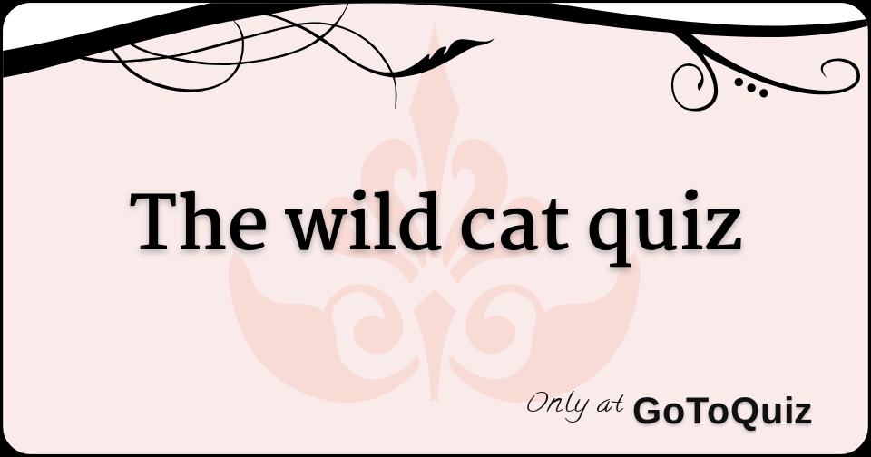 The wild cat quiz