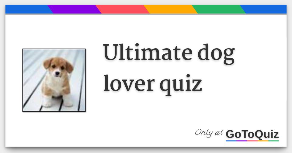 ultimate dog lover quiz