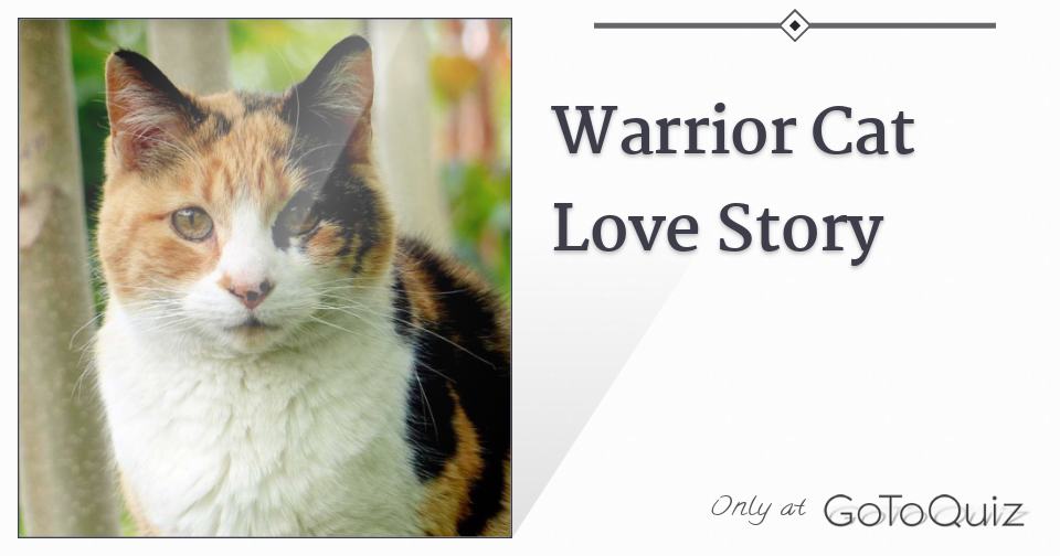 Warrior Cat Love Story Warrior Cat Love Story