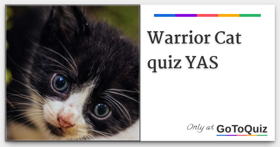 Warrior Cat quiz YAS