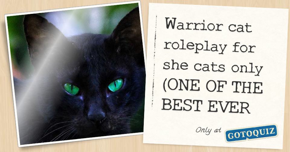 Warrior cat roleplay for she cats only (ONE OF THE BEST EVER