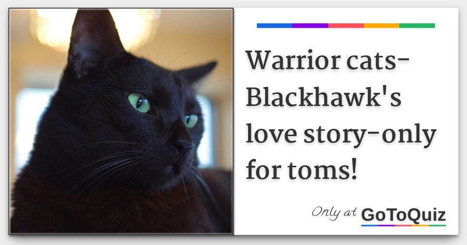 Warrior Cats Blackhawk S Love Story Only For Toms Warrior Cats Blackhawk S Love Story Only For Toms