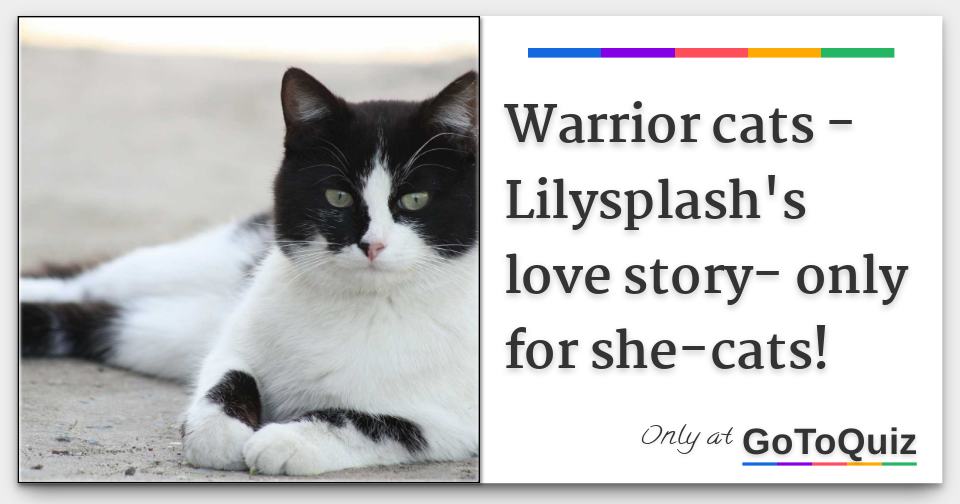 Warrior Cats Lilysplash S Love Story Only For She Cats Warrior Cats Lilysplash S Love Story Only For She Cats