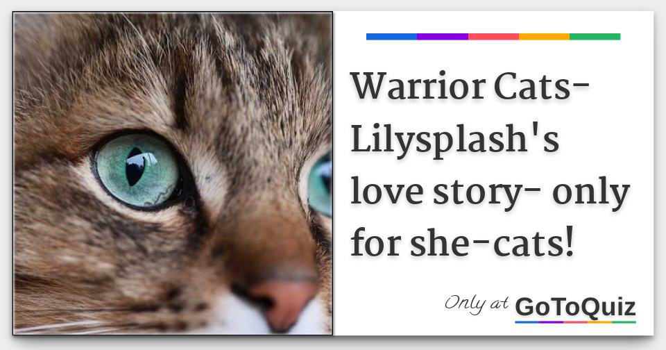 Warrior Cats Lilysplash S Love Story Only For She Cats Warrior Cats Lilysplash S Love Story Only For She Cats