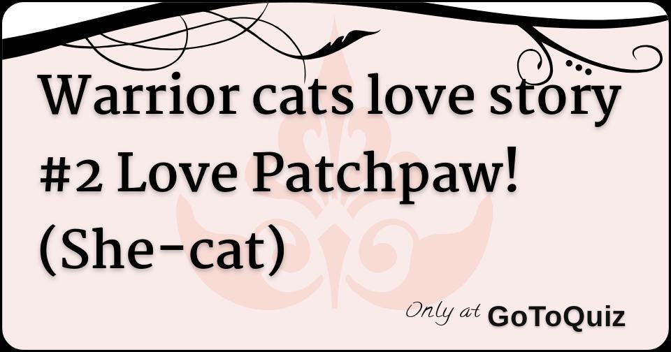 Warrior Cats Love Story 2 Love Patchpaw She Cat Warrior Cats Love Story 2 Love Patchpaw She Cat