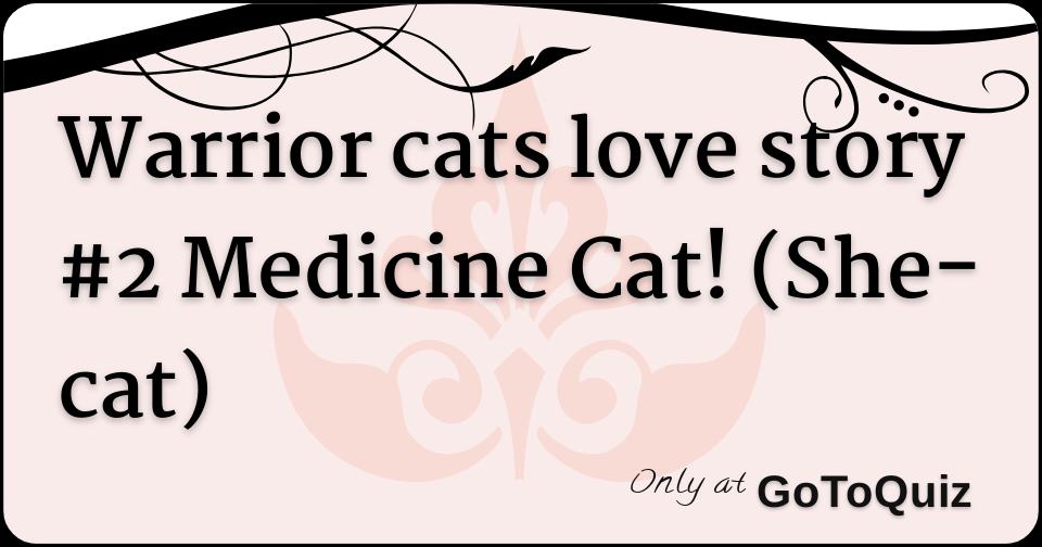 Warrior Cats Love Story 2 Medicine Cat She Cat Warrior Cats Love Story 2 Medicine Cat She Cat