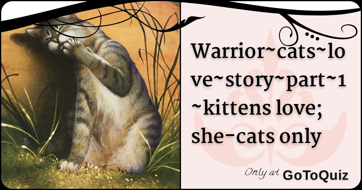 Warrior Cats Love Story Part 1 Kittens Love She Cats Only Warrior Cats Love Story Part 1 Kittens Love She Cats Only