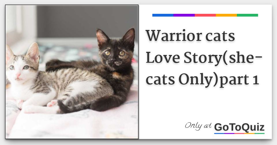 Warrior Cats Love Story She Cats Only Part 1 Warrior Cats Love Story She Cats Only Part 1