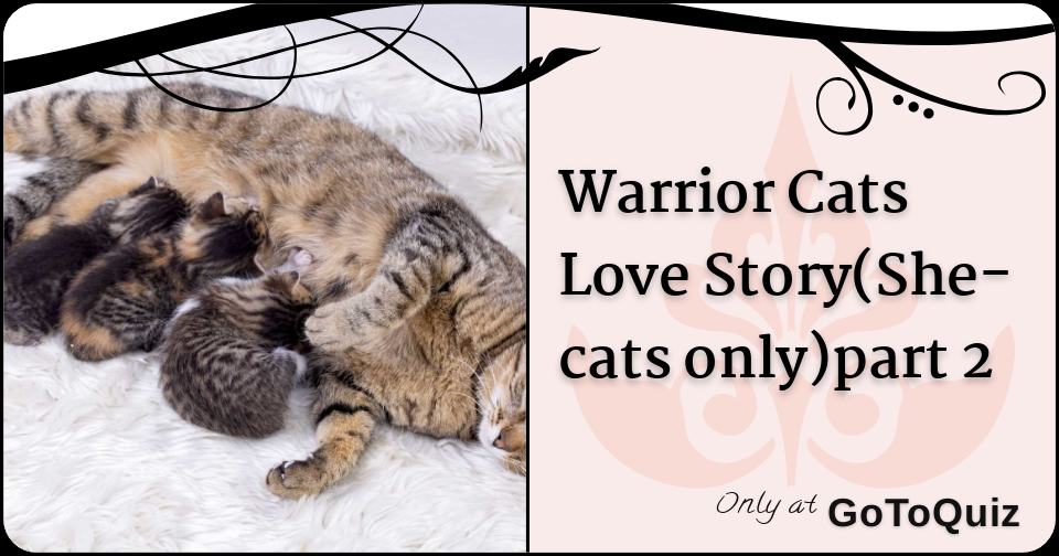 Warrior Cats Love Story She Cats Only Part 2 Warrior Cats Love Story She Cats Only Part 2