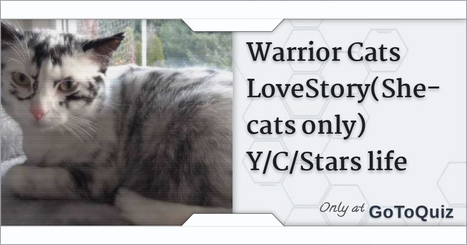 Warrior Cats Lovestory She Cats Only Y C Stars Life Warrior Cats Lovestory She Cats Only Y C Stars Life