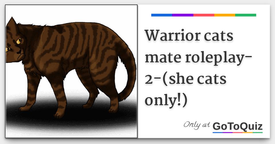 warrior cats mate roleplay2(she cats only!)