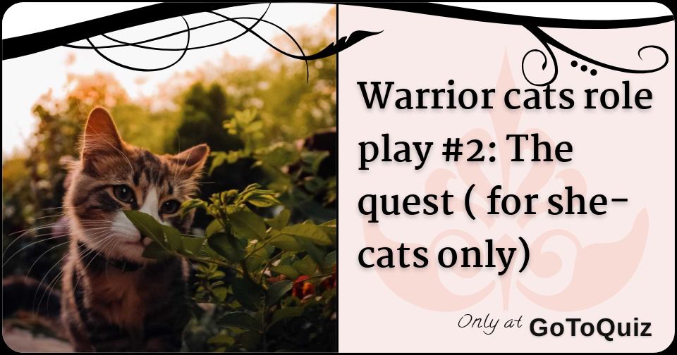 Warrior Cats Role Play 2 The Quest For She Cats Only Warrior Cats Role Play 2 The Quest For She Cats Only