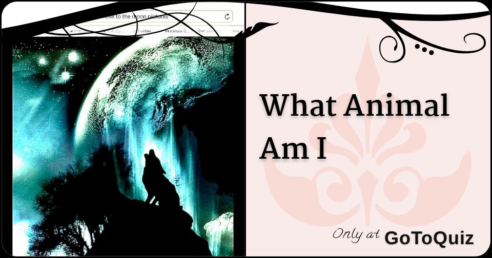 What Animal Am I