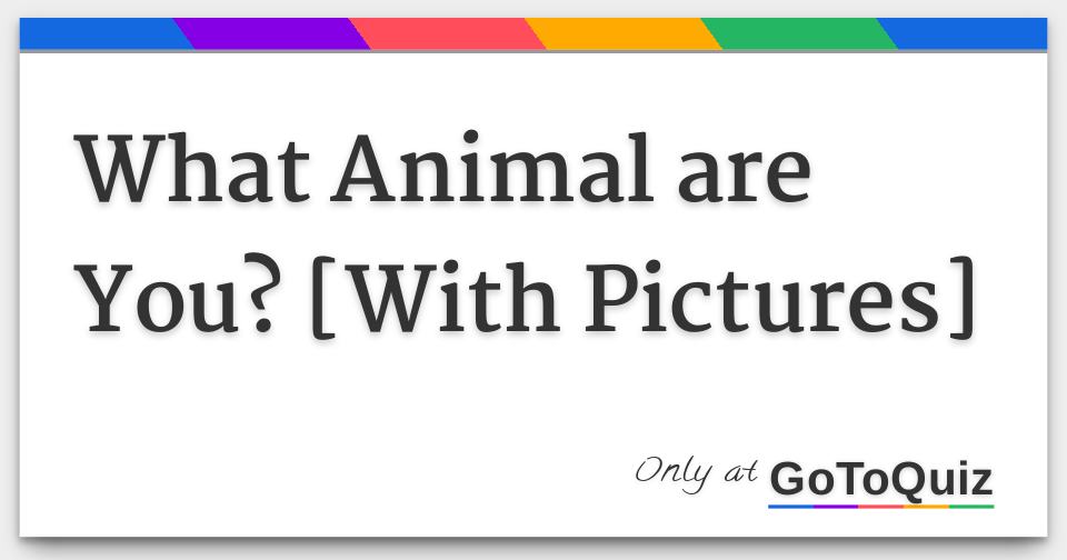 What Animal are You? [With Pictures]
