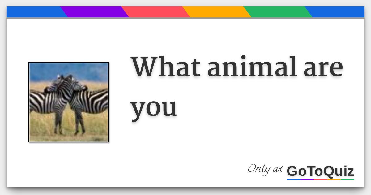 what animal are you