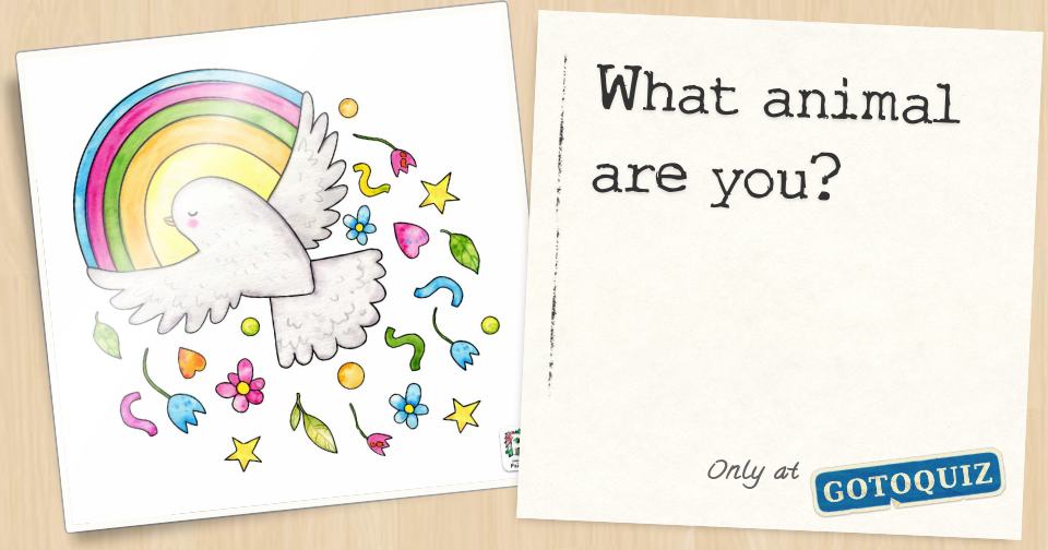 What animal are you?