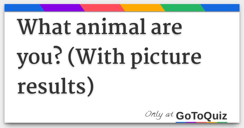 What animal are you? (With picture results)