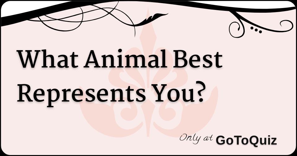 What animal best represents you What animal best represents you