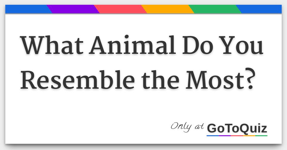 what Animal Do You Resemble the Most?
