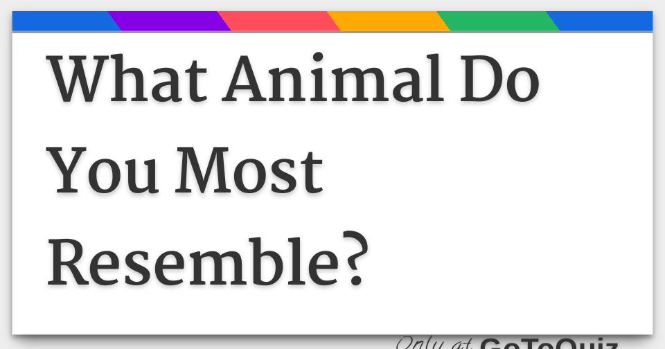 What Animal Do You Most Resemble?